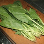 Boiled green of spinach Image